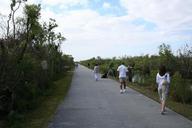 Shark_Valley_Tram_Road_and_Trail_(1),_NPSPhoto.jpg