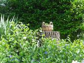 basket-stump-garden-green-wood-80621.jpg