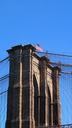 brooklyn-bridge-new-york-1594233.jpg