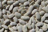 beans-vegetables-collections-943719.jpg