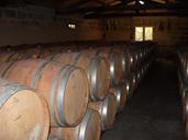 wine-cellar-barrels-cask-wine-459553.jpg