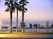 San Diego palms trees sidewalk piers.jpg