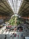 station-madrid-trains-garden-space-388349.jpg