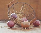 egg-easter-eggs-colorful-colored-1234652.jpg