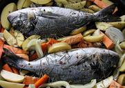 seafood-fish-cooking-bream-964373.jpg