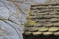 autumn-roof-moss-shingle-hut-1038557.jpg