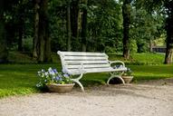 park-bench-bench-tree-park-1537620.jpg