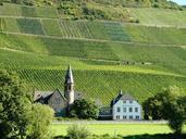 vineyards-mosel-wine-growing-area-979139.jpg