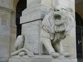 lion-sculpture-statue-stone-329665.jpg