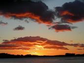 geese-sunset-scotland-sky-clouds-200628.jpg