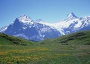 Amazing-view-of-touristic-trail-near-the-Matterhorn-in-the-Swiss.jpg