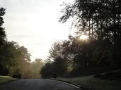 road-dawn-landscape-nature-light-572022.jpg