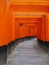 archway-japan-orange-temple-shrine-223383.jpg