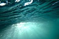 underwater-sunbeams-ocean-sea-698671.jpg