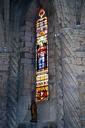 stained-glass-stained-glass-windows-889565.jpg