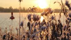 sunrise-water-morgenstimmung-river-657138.jpg