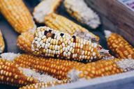 corn-cob-corn-vegetable-market-918557.jpg