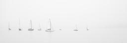 sailing-boats-sailing-ocean-boats-336531.jpg