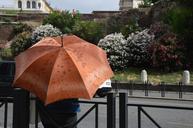 rain-umbrella-italy-rome-summer-518485.jpg