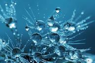 water-droplets-drops-blue-liquid-839590.jpg