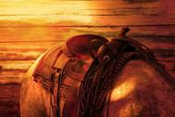 horse-s-back-ride-horse-saddle-587609.jpg