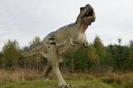 t-rex-tyrannosaurus-487639.jpg