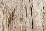 wood-grain-texture-panel-timber-1305428.jpg