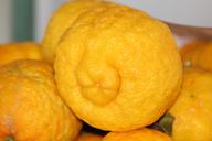 lemons-yellow-fruit-sour-vitamins-443677.jpg