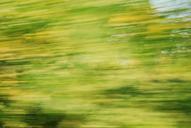 speed-colors-rush-trees-285444.jpg