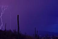 lightning-desert-landscape-sky-216659.jpg