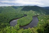 river-forest-queille-landscape-649203.jpg