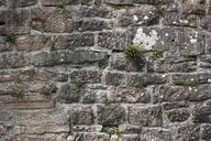 brick-wall-brick-sand-stone-wall-260033.jpg