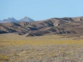 death-valley-super-bloom-1248297.jpg