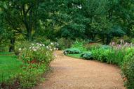 garden-path-pea-gravel-sand-lawn-59151.jpg