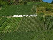 vineyard-mosel-winegrowing-978139.jpg