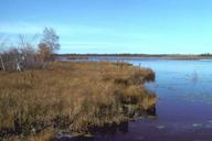 Swamp and river flats scenic view.jpg