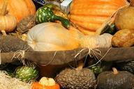 pumpkin-squash-vegetables-markets-570585.jpg