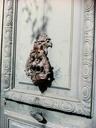 door-wooden-knocker-metallic-70672.jpg