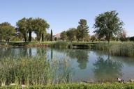 golf-course-scenery-pond-drought-1415850.jpg