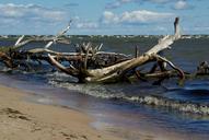 baltic-sea-beach-driftwood-waves-908934.jpg