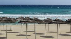 beach-umbrellas-sand-cyprus-1249202.jpg