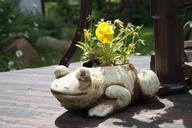 frog-figure-garden-flower-nature-508510.jpg