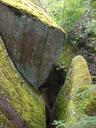 Mossy rock texture.jpg