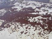 Gooey masses of oil spill.jpg