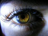 eye-brown-yellow-light-iris-510369.jpg