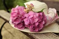 hat-sun-hat-hydrangeas-tender-912859.jpg