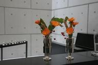 orange-flowers-harvest-616207.jpg