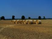 straw-bales-harvested-wheat-field-893803.jpg