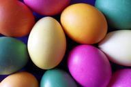 easter-egg-easter-eggs-colorful-259654.jpg