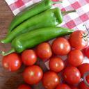 tomatoes-red-paprika-green-food-419311.jpg